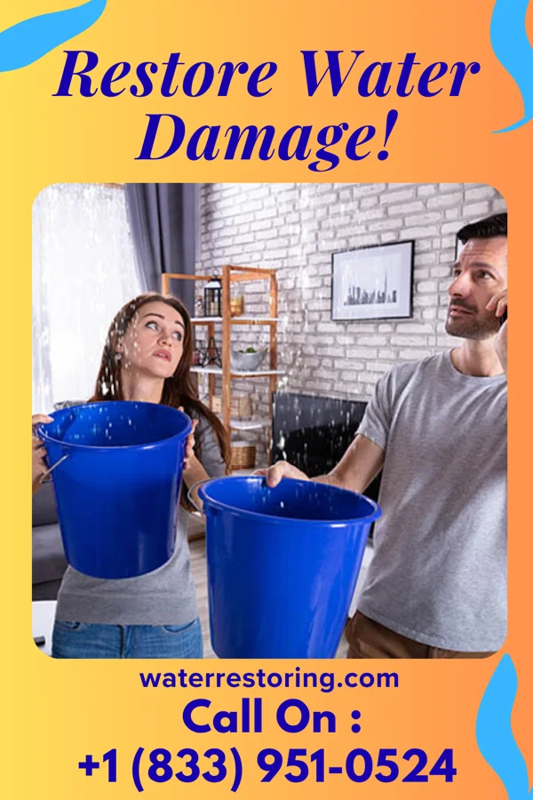 water restoration Recovery Contractors Manley